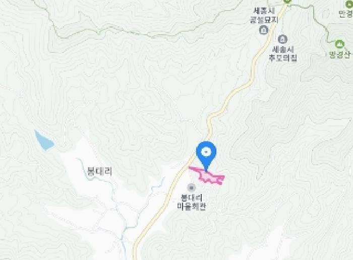 세종특별자치시 전동면 봉대리 산20-12 임야 경매 사진 13