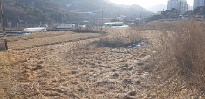 충청남도 예산군 덕산면 시량리 430 답 경매 사진 3