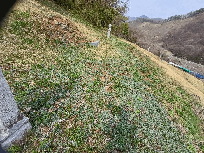 경상북도 문경시 산북면 우곡리 605 전 경매 사진 3