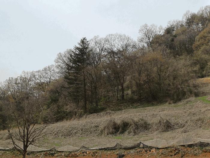 경상북도 문경시 산북면 우곡리 605 전 경매 사진 5