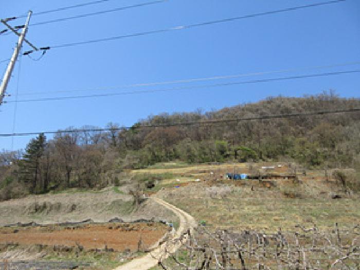 경상북도 문경시 산북면 우곡리 605 전 경매 사진 6