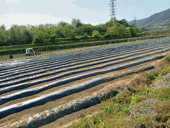 경상북도 예천군 예천읍 대심리 668 전 경매 사진 7