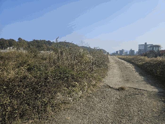 경상북도 경주시 답