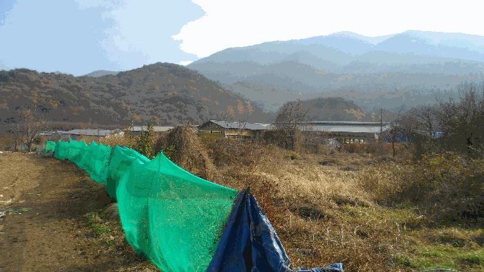 경상북도 경주시 건천읍 화천리 1684-1 전 경매 사진 7