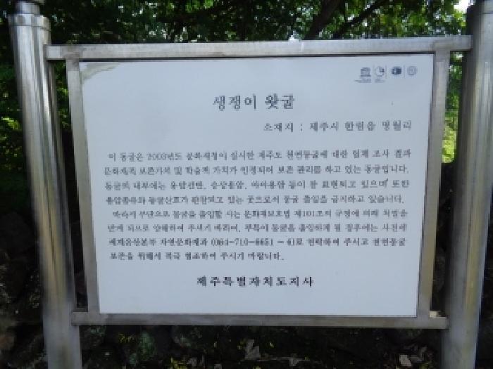 제주특별자치도 제주시 한림읍 협재리 427 전 경매 사진 14