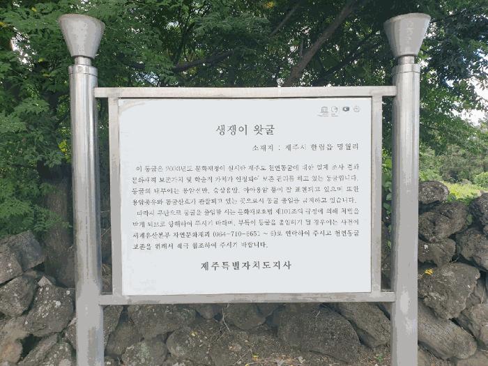 제주특별자치도 제주시 한림읍 협재리 427 전 경매 사진 4