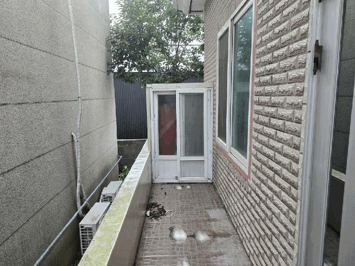 제주특별자치도 서귀포시 서호동 1472-12 다가구주택 경매 사진 8