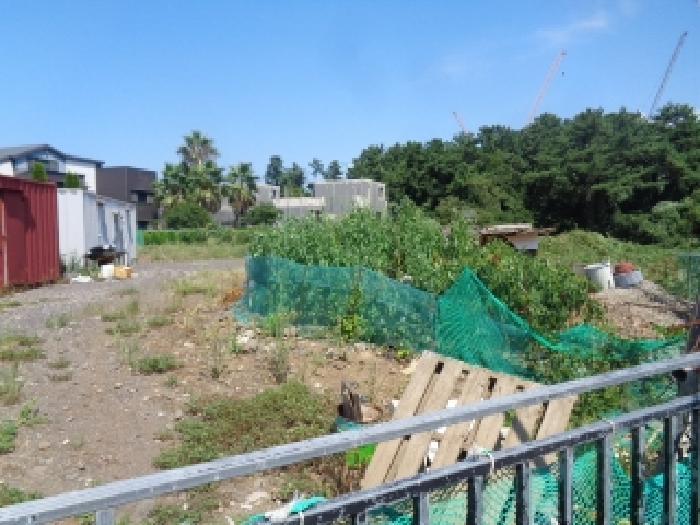 제주특별자치도 제주시 오라이동 862-6 과수원 경매 사진 8