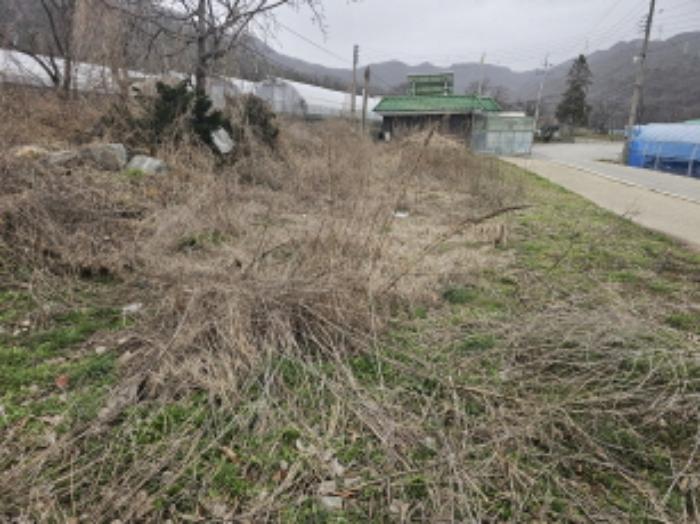 충청남도 천안시 서북구 입장면 호당리 89-3 상가 경매 사진 14