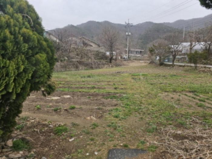 충청남도 천안시 서북구 입장면 호당리 89-3 상가 경매 사진 20