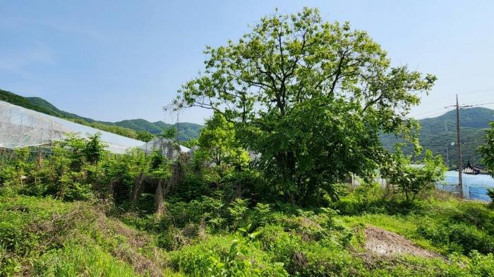충청남도 천안시 서북구 입장면 호당리 89-3 상가 경매 사진 3