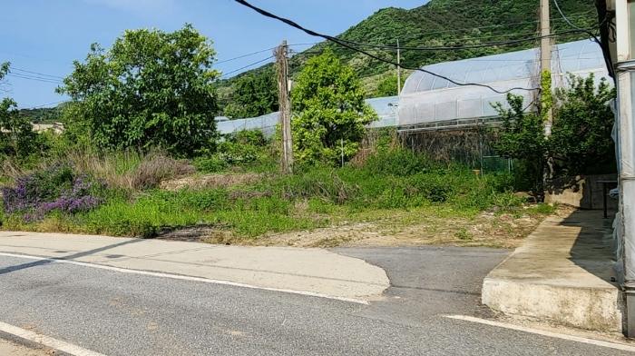 충청남도 천안시 서북구 입장면 호당리 89-3 상가 경매 사진 8
