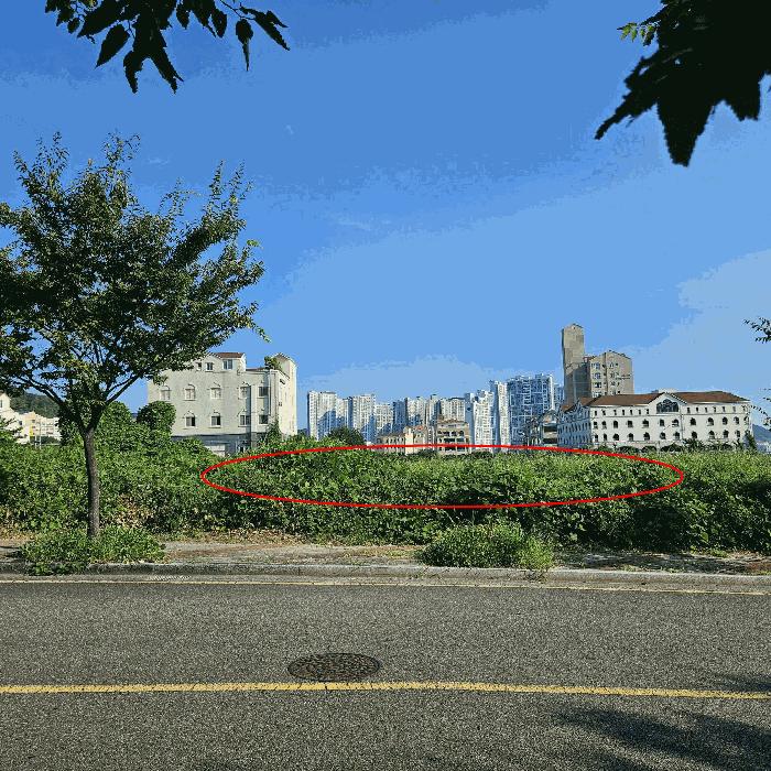 울산광역시 북구 산하동 1017-17 대지 경매 사진 3