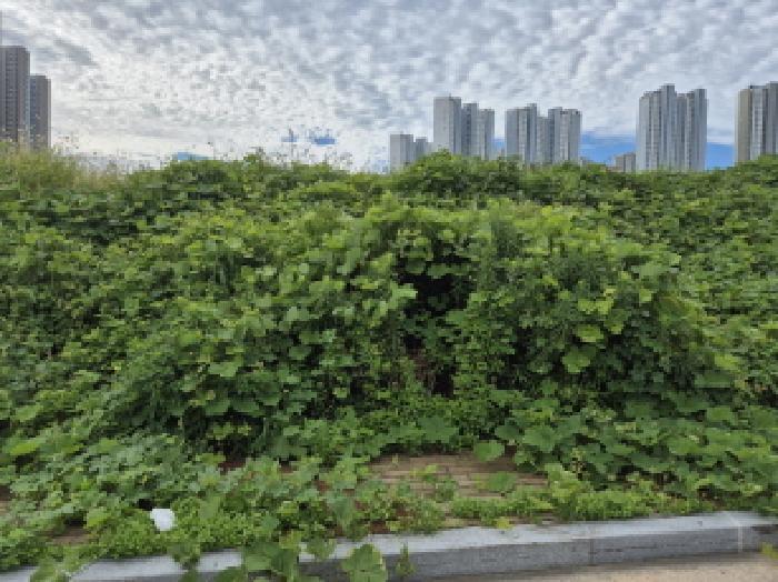 울산광역시 북구 산하동 1017-17 대지 경매 사진 7