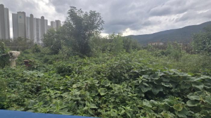 경상남도 양산시 소주동 551 답 경매 사진 10