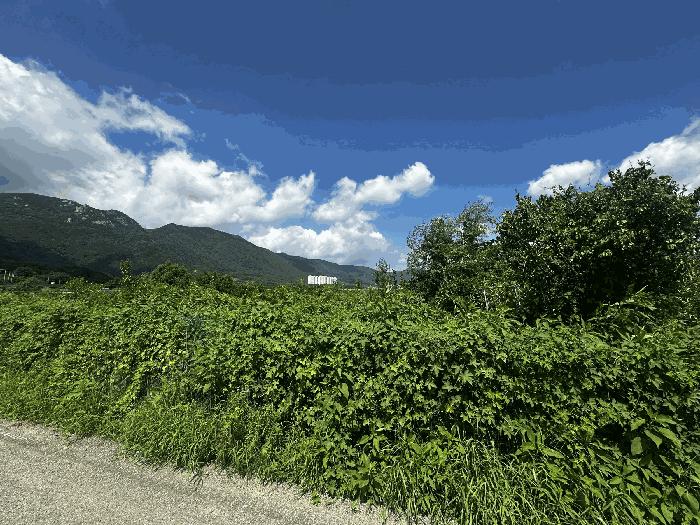 경상남도 양산시 소주동 551 답 경매 사진 3
