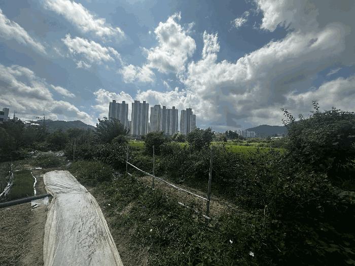 경상남도 양산시 소주동 551 답 경매 사진 6