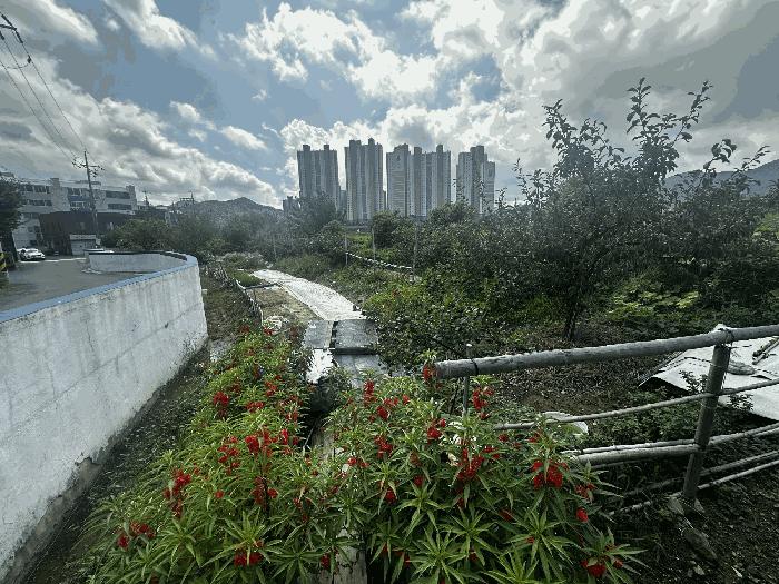 경상남도 양산시 소주동 551 답 경매 사진 8