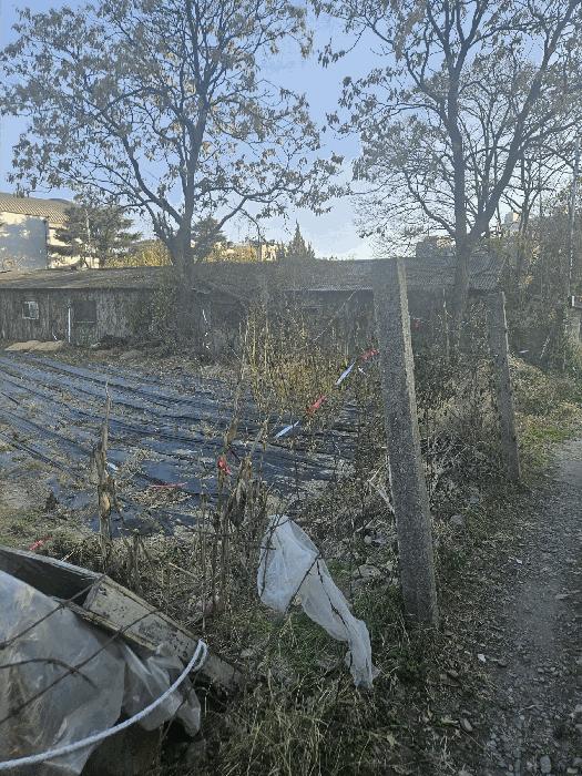 경상북도 경주시 안강읍 산대리 1853 전 경매 사진 3