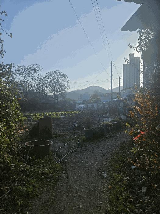 경상북도 경주시 안강읍 산대리 1853 전 경매 사진 4