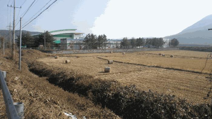 경상북도 경주시 효현동 1107 답 경매 사진 1