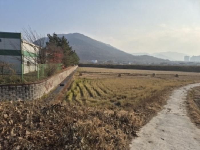 경상북도 경주시 효현동 1107 답 경매 사진 3