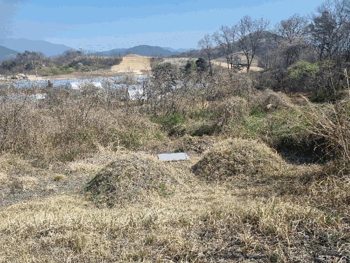 경상북도 김천시 농소면 월곡리 1133 전 경매 사진 1