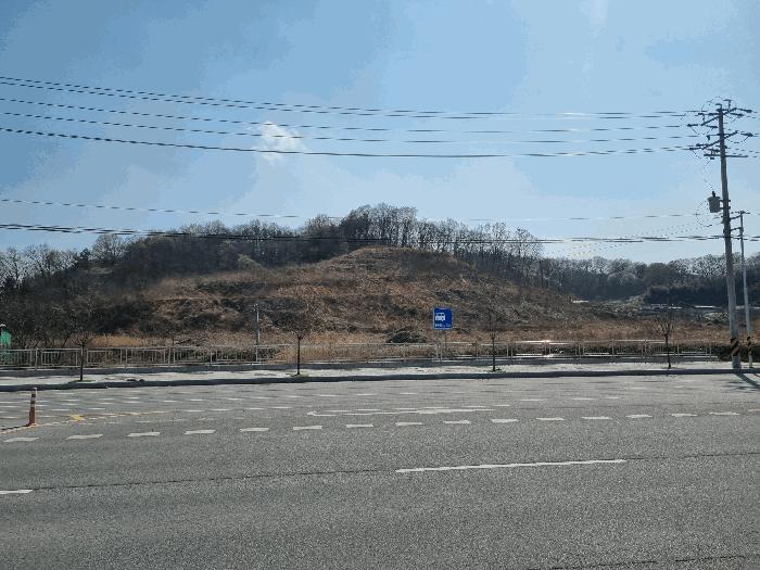 경상북도 김천시 농소면 월곡리 1133 전 경매 사진 2