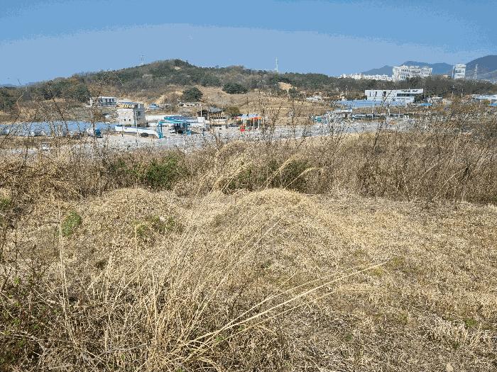 경상북도 김천시 농소면 월곡리 1133 전 경매 사진 5