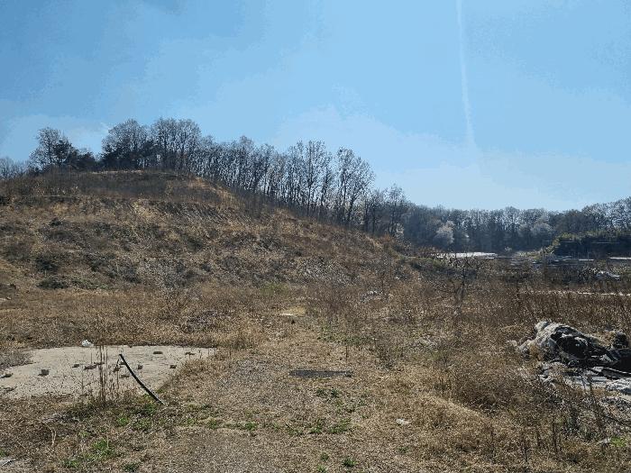 경상북도 김천시 농소면 월곡리 1133 전 경매 사진 6