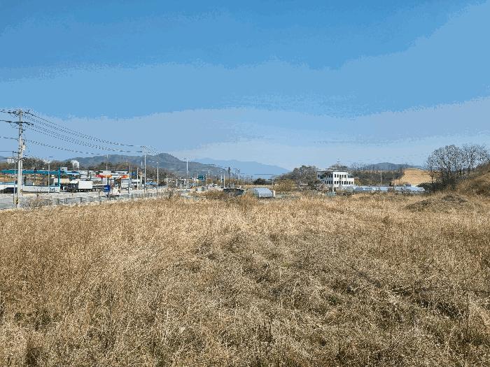 경상북도 김천시 농소면 월곡리 1133 전 경매 사진 8