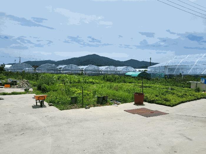 경상북도 김천시 봉산면 신리 239-6 과수원 경매 사진 1