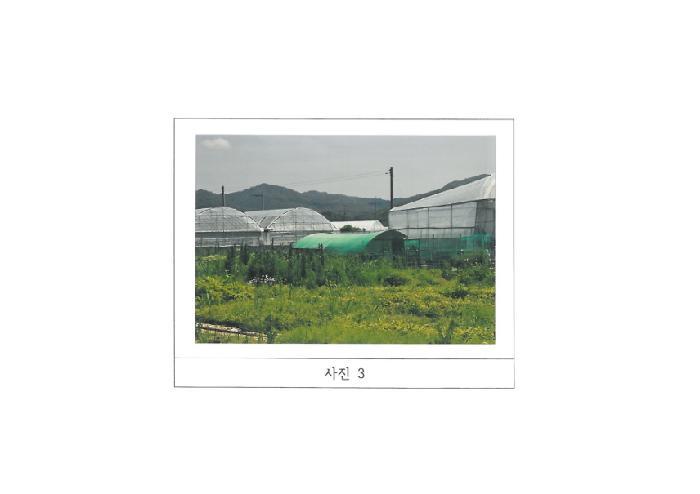 경상북도 김천시 봉산면 신리 239-6 과수원 경매 사진 10