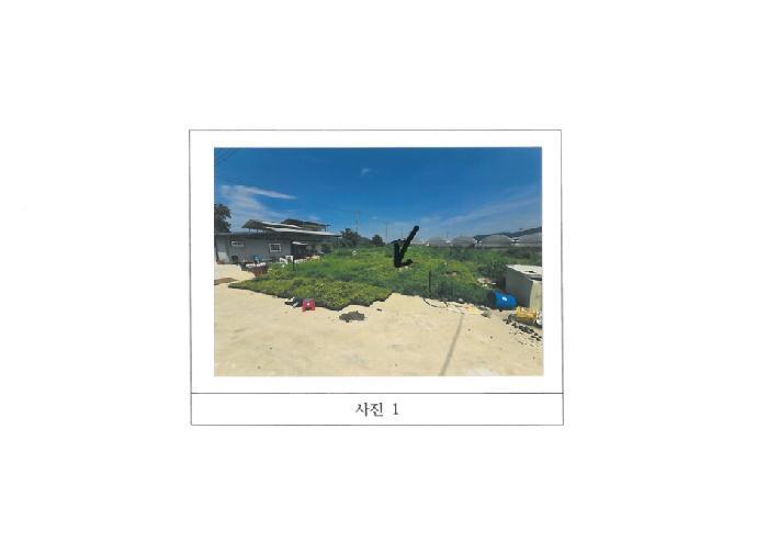 경상북도 김천시 봉산면 신리 239-6 과수원 경매 사진 7