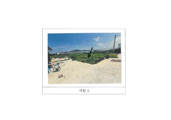 경상북도 김천시 봉산면 신리 239-6 과수원 경매 사진 8