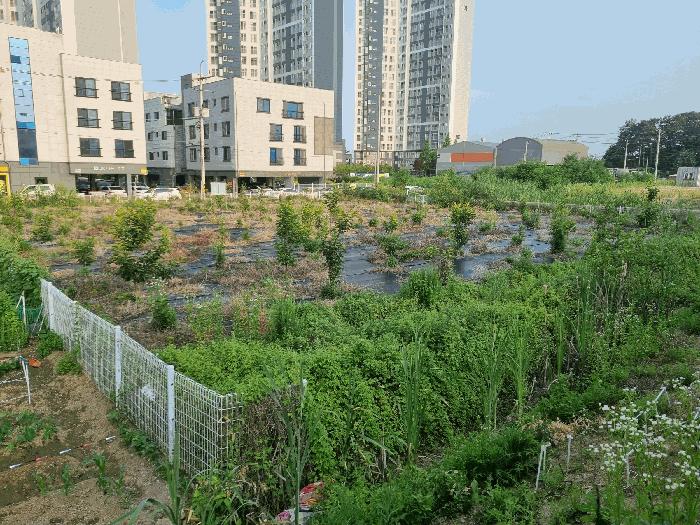 충청남도 천안시 동남구 목천읍 운전리 569 숙박시설 경매 사진 10