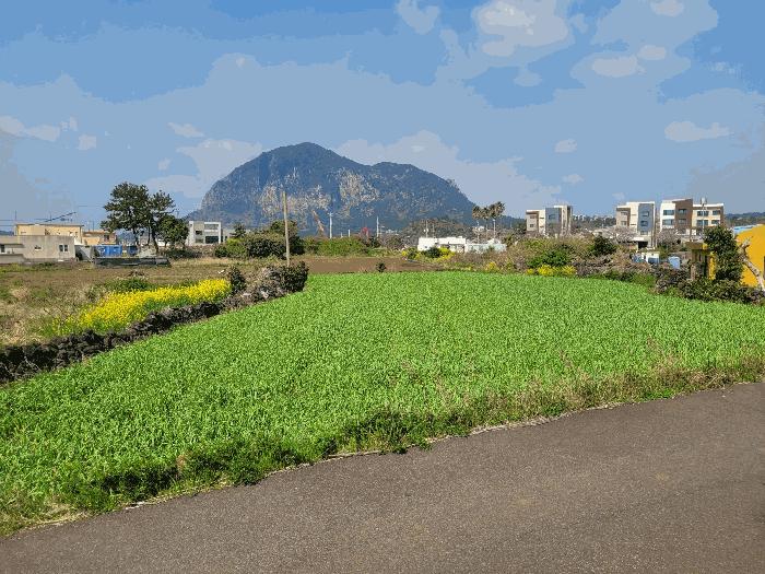 제주 서귀포시 전