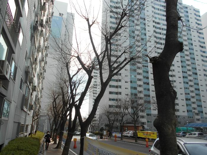 부산광역시 사하구 다대로429번길 20, 205동 20층2004호 (다대동,삼환아파트)구) 부산광역시 사하구 다대동 120-10 아파트 경매 사진 1