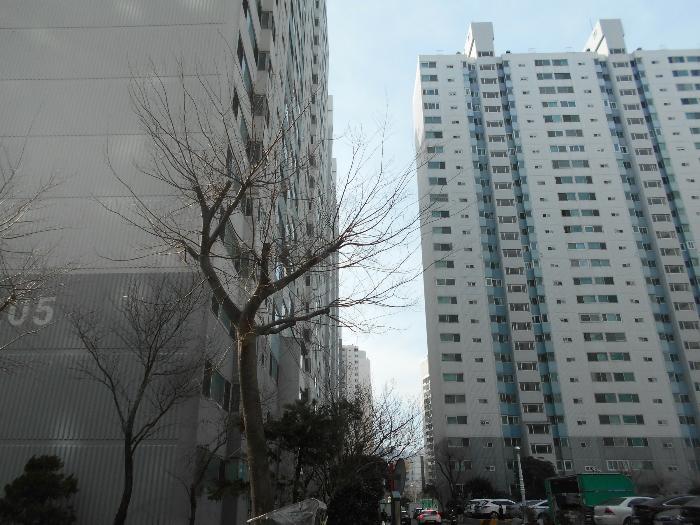 부산광역시 사하구 다대로429번길 20, 205동 20층2004호 (다대동,삼환아파트)구) 부산광역시 사하구 다대동 120-10 아파트 경매 사진 4