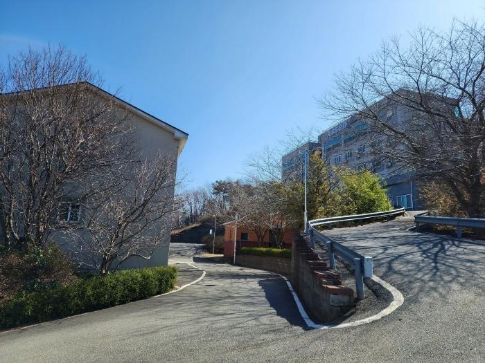 충청남도 태안군 안면읍 신야리 335-12 교육시설 경매 사진 2