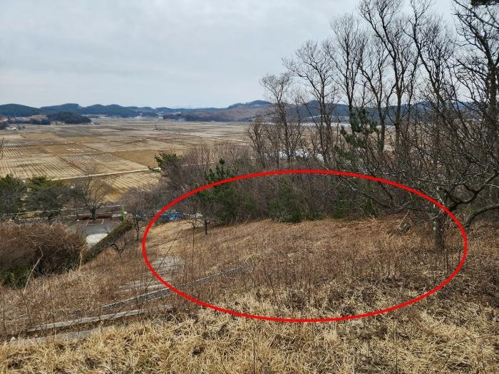 충청남도 태안군 안면읍 신야리 335-12 교육시설 경매 사진 6