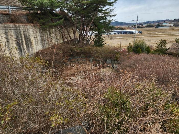 충청남도 태안군 안면읍 신야리 335-12 교육시설 경매 사진 9