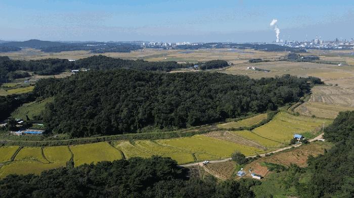 충청남도 당진시 송악읍 월곡리 380-6 임야 경매 사진 1