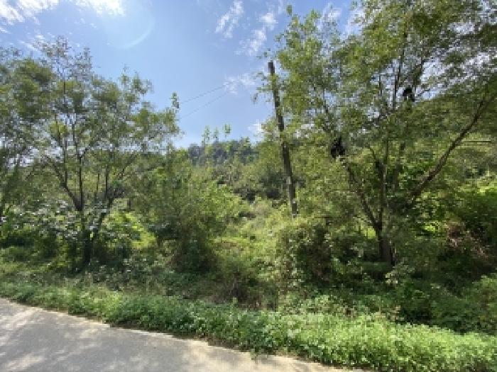 충청남도 당진시 송악읍 가교리 594-8 임야 경매 사진 17