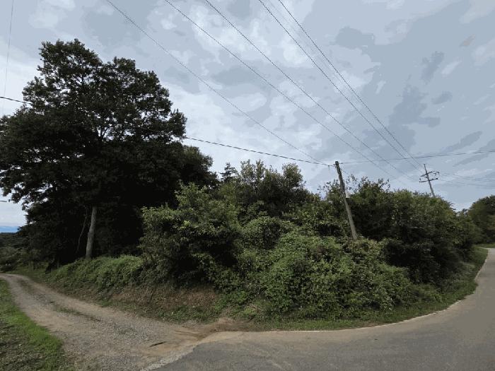 충청남도 당진시 송악읍 가교리 594-8 임야 경매 사진 3