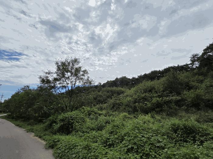 충청남도 당진시 송악읍 가교리 594-8 임야 경매 사진 4