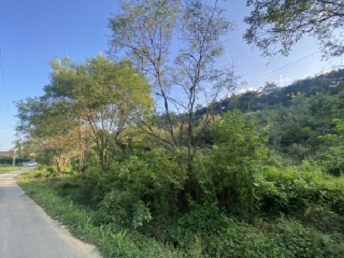 충청남도 당진시 송악읍 가교리 594-8 임야 경매 사진 9