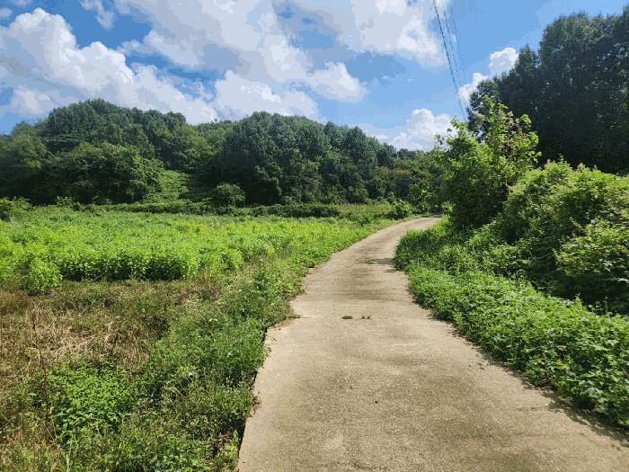 충청남도 당진시 송산면 상거리 58 답 경매 사진 2