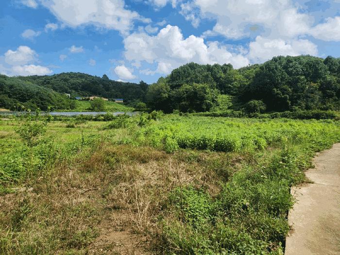 충청남도 당진시 송산면 상거리 58 답 경매 사진 3