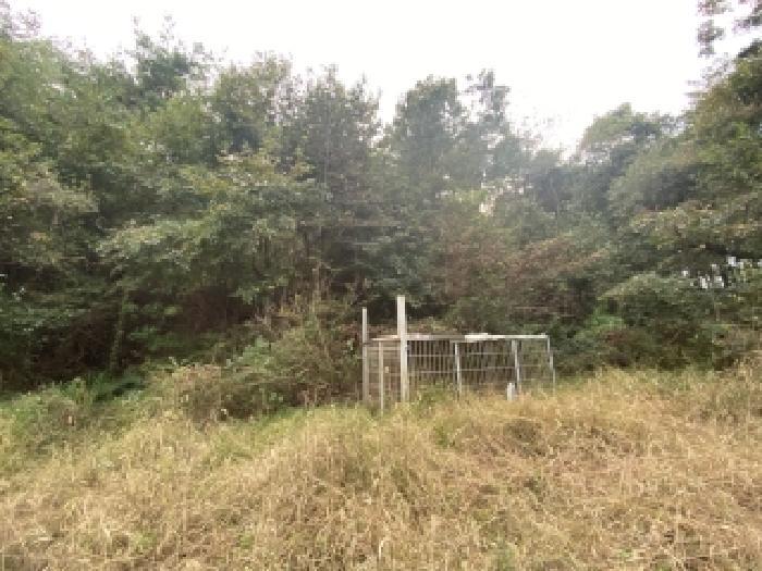 충청남도 당진시 용연동 산199 임야 경매 사진 11
